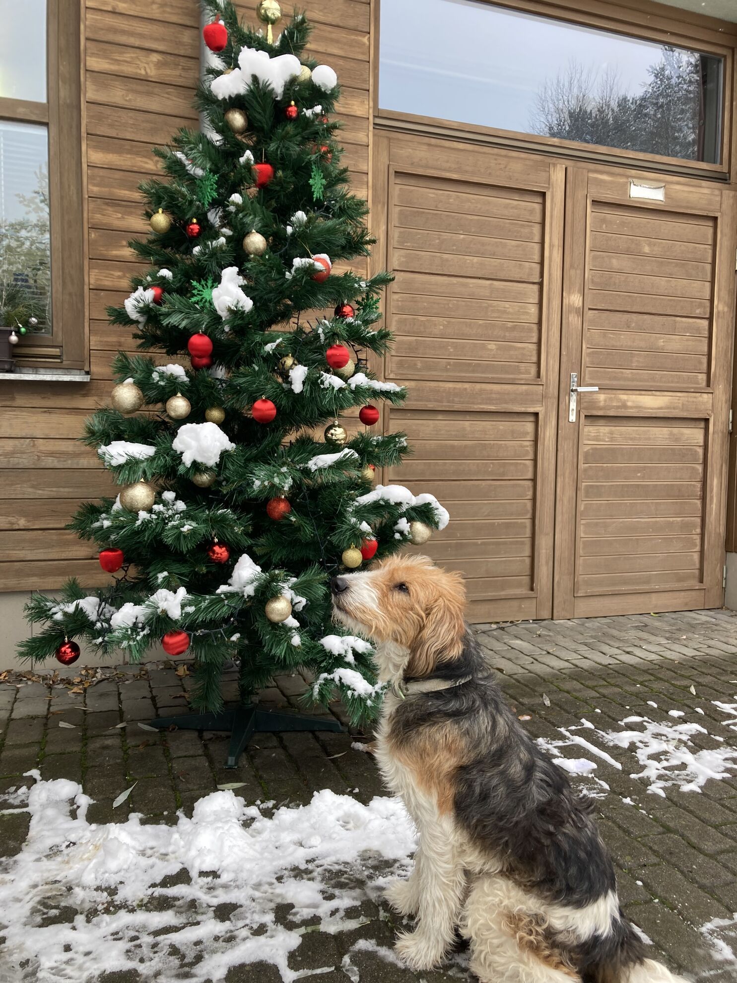 13DA250C-A9DC-48F3-8896-5D3842FD29D2 13DA250C-A9DC-48F3-8896-5D3842FD29D2